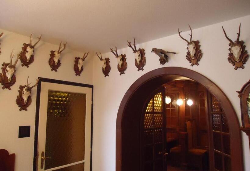 ホテル Cola Panzió