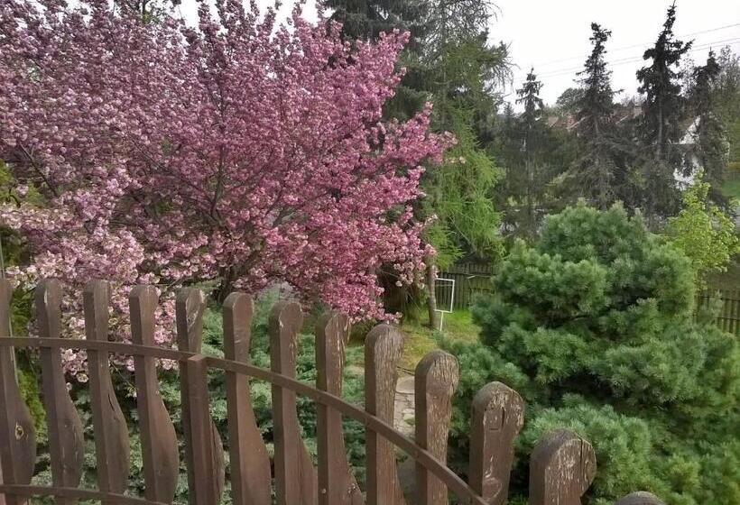 ホテル Cola Panzió