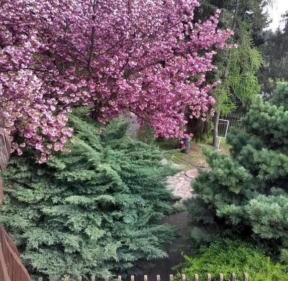 ホテル Cola Panzió