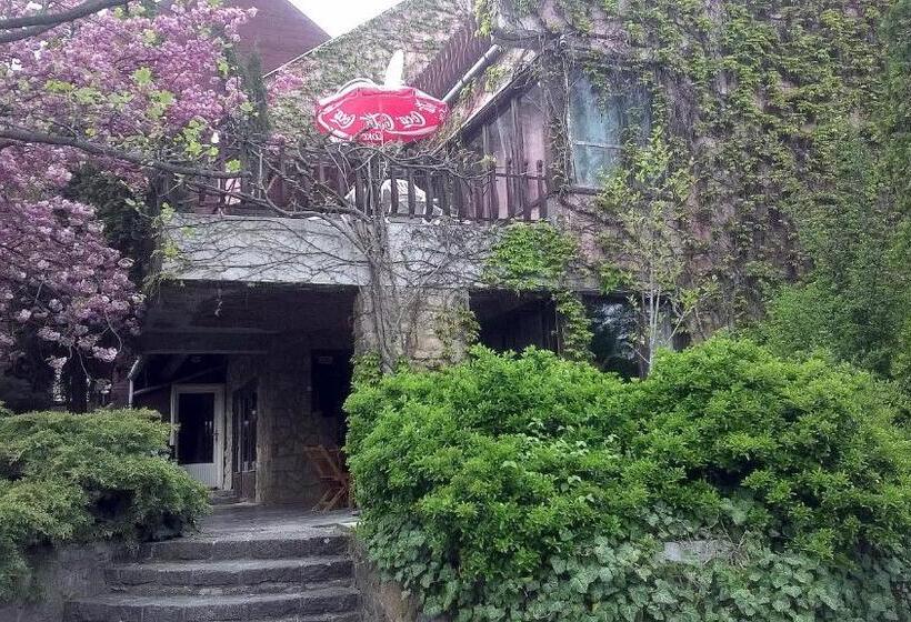 ホテル Cola Panzió