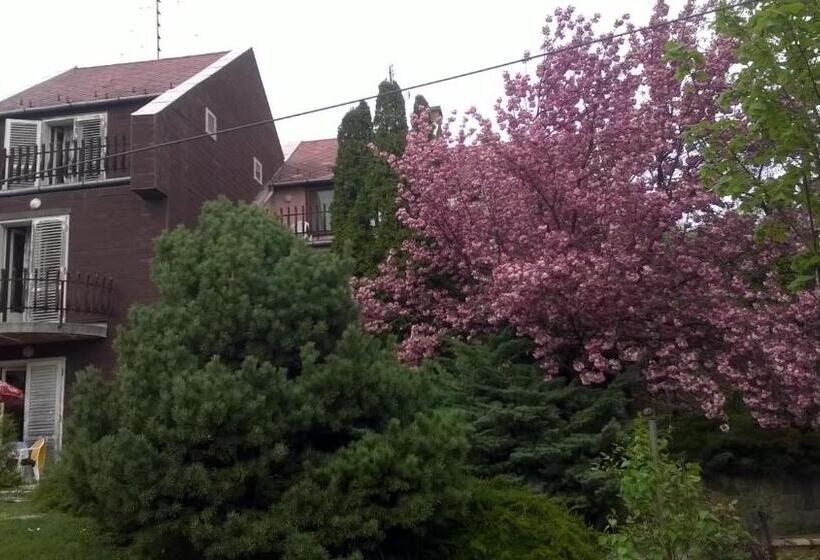 ホテル Cola Panzió