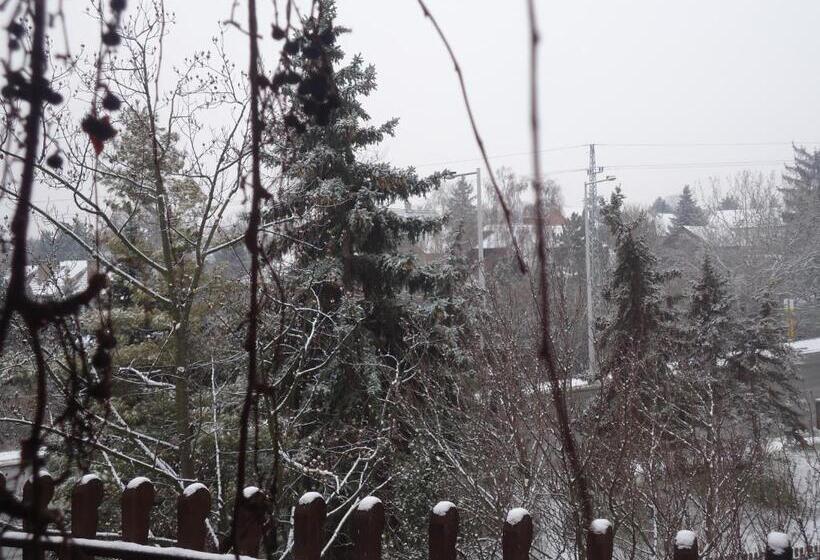 ホテル Cola Panzió