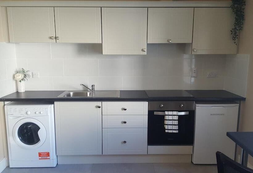 فندق Shamrock Lodge