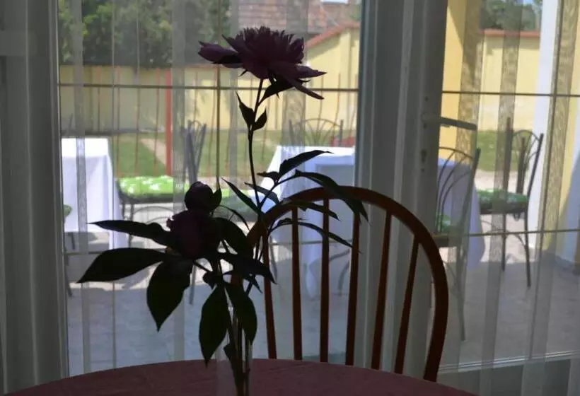 汽车旅馆  Kiskut Liget Pension