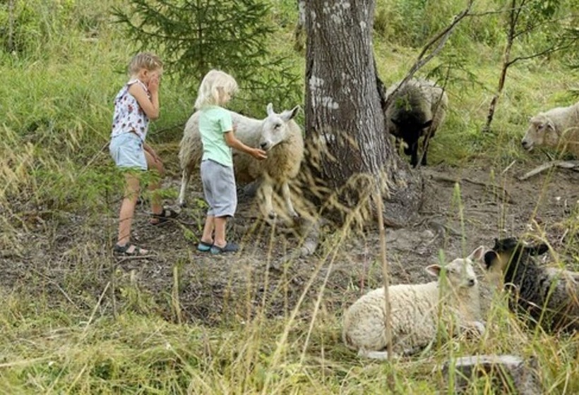 هتل Backbyn Kartano