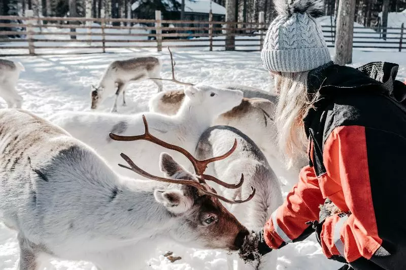 Lapland Hotels Ounasvaara Chalets