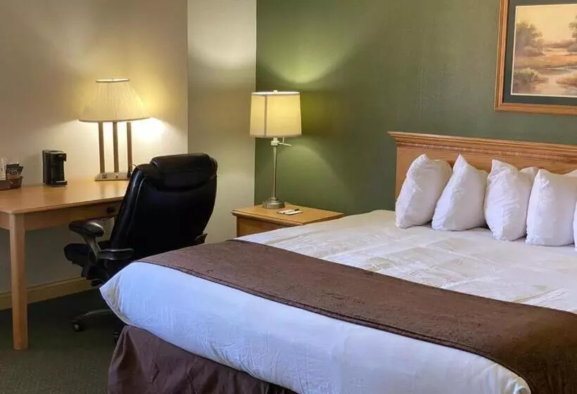 酒店 Baymont By Wyndham Robinson