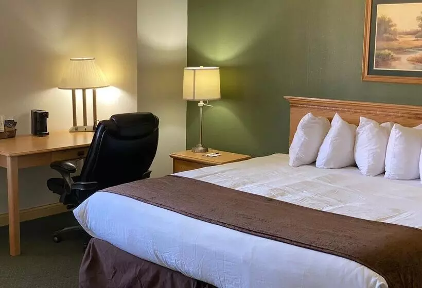 酒店 Baymont By Wyndham Robinson