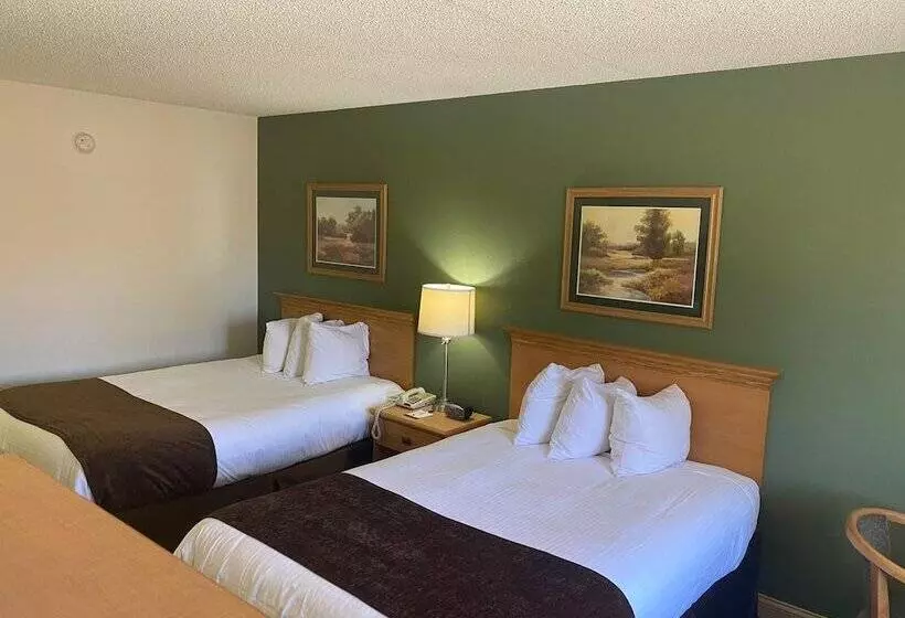 酒店 Baymont By Wyndham Robinson