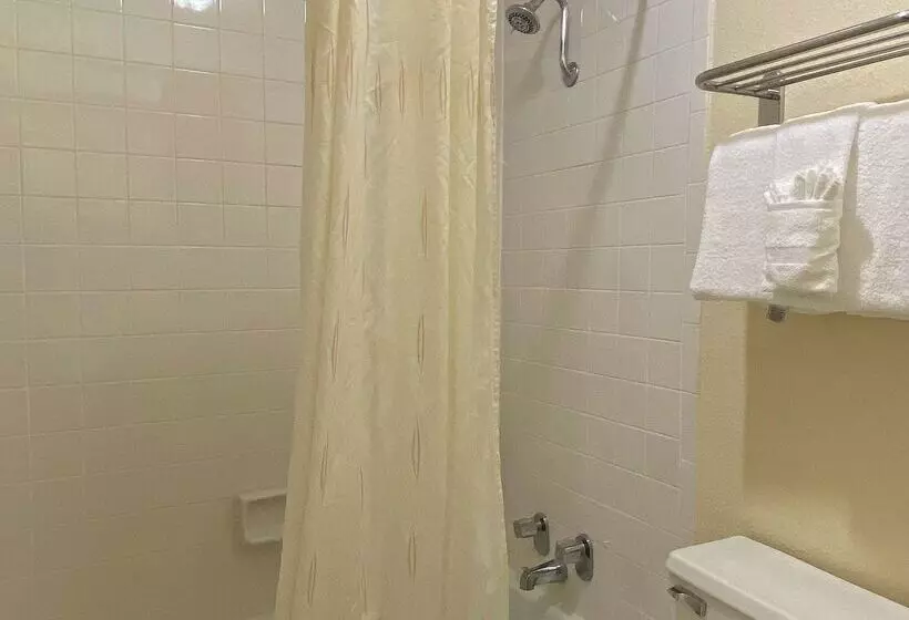 ホテル Best Western Greenville Airport