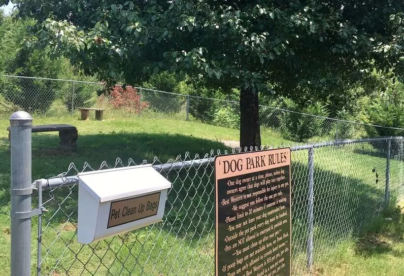 ホテル Best Western Greenville Airport