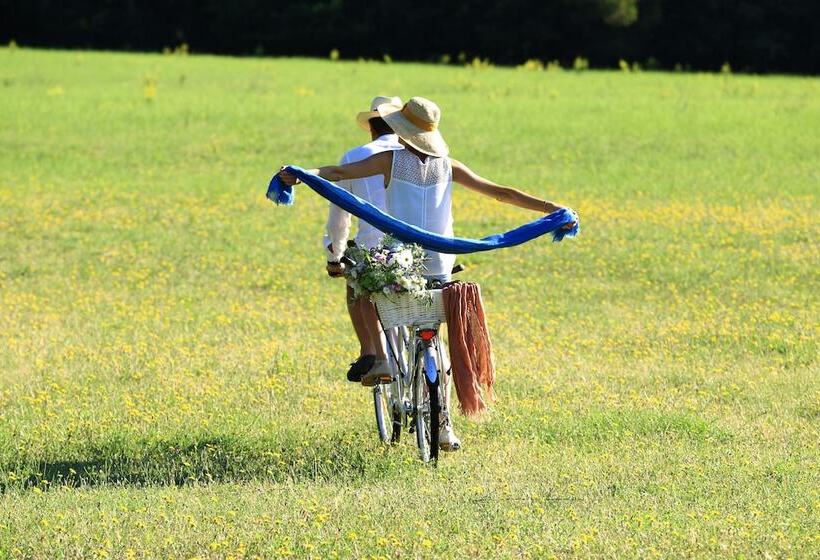 فندق Crillon Le Brave