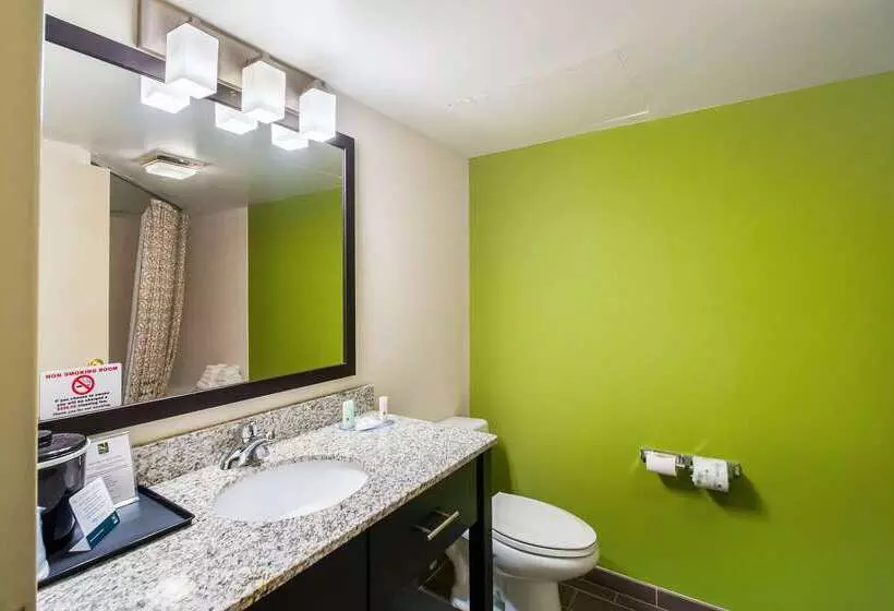 Отель Quality Inn