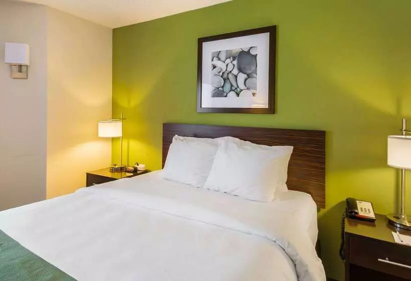 Отель Quality Inn