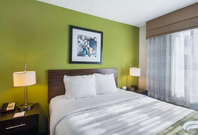 Отель Quality Inn