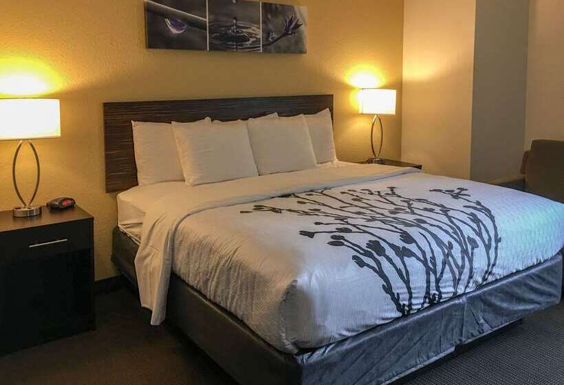 בית מלון כפרי Sleep Inn Florence North