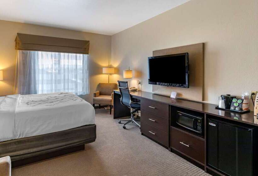 ホテル Sleep Inn & Suites