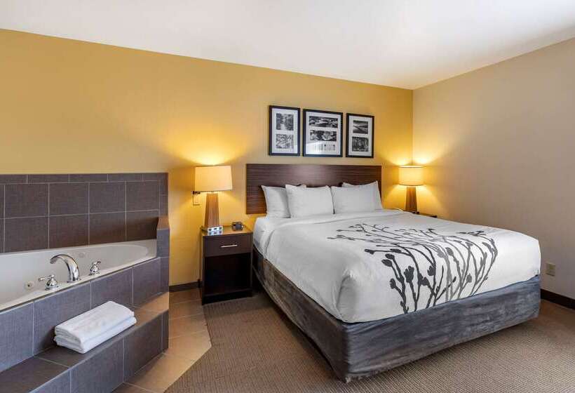 ホテル Sleep Inn & Suites