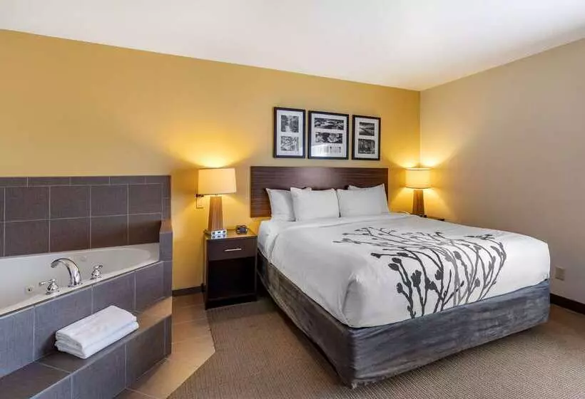 هتل Sleep Inn & Suites