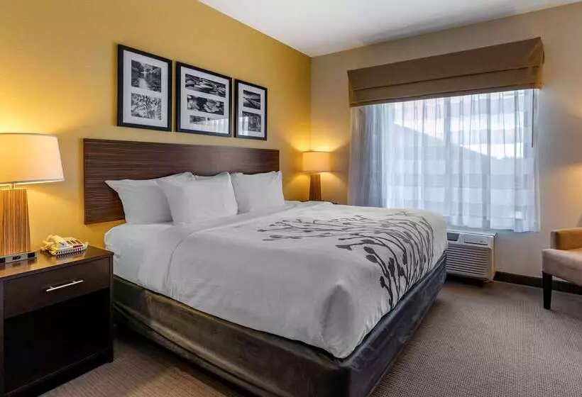 هتل Sleep Inn & Suites