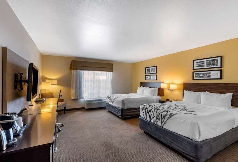 ホテル Sleep Inn & Suites