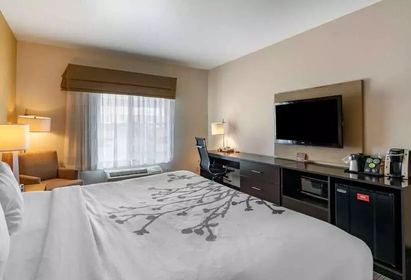 هتل Sleep Inn & Suites