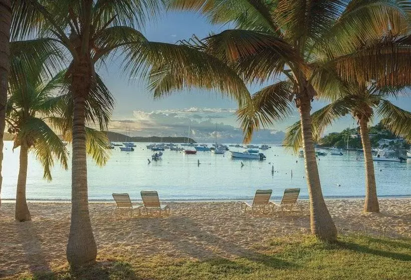 Elysian Beach Resort