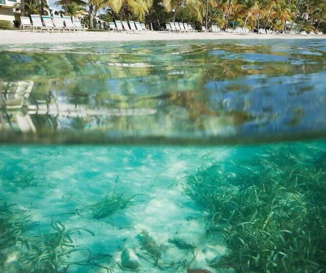 Elysian Beach Resort