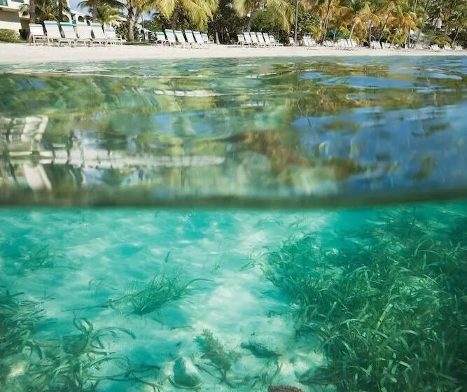 Elysian Beach Resort