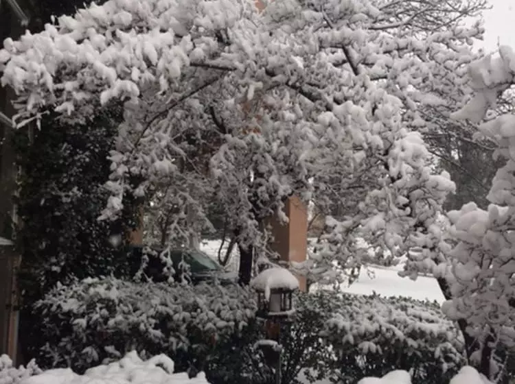 هتل Forest Villas