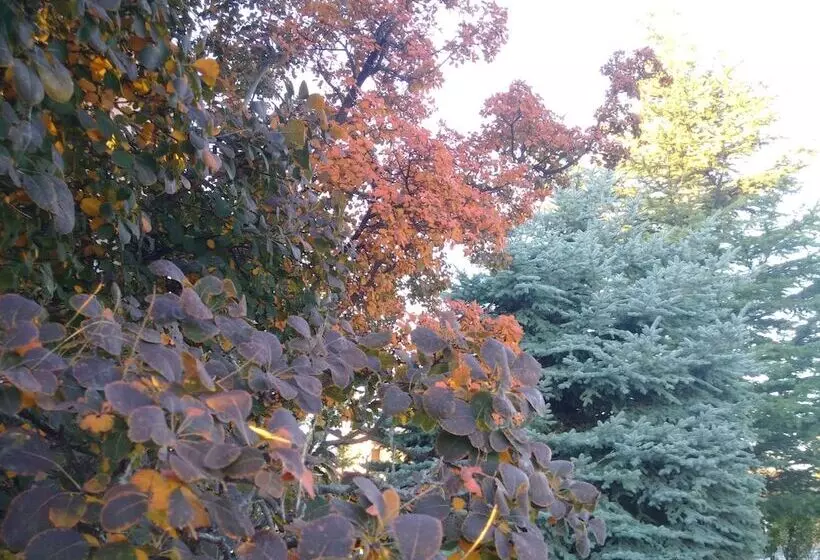 هتل Forest Villas