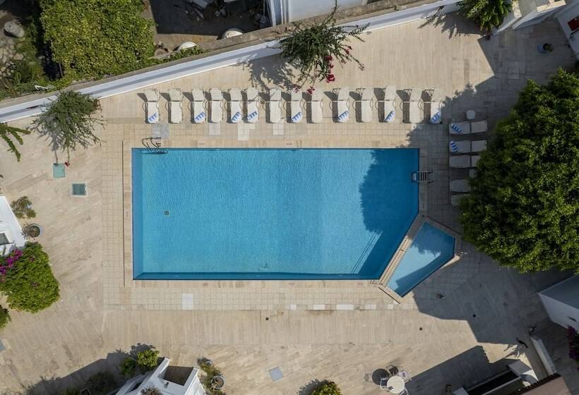 Hotel Seckin Konaklar