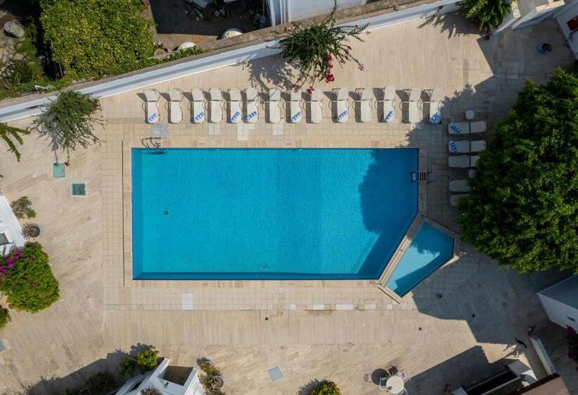 Hotel Seckin Konaklar