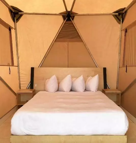 Palm Canyon Hotel And Rv Resort