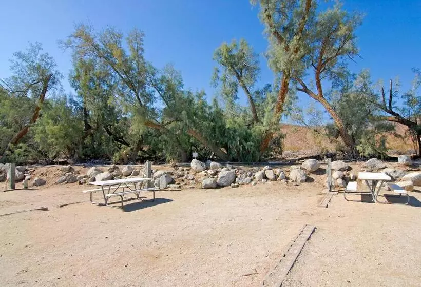 Palm Canyon Hotel And Rv Resort