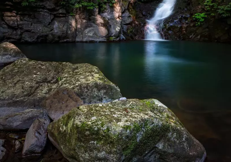 Отель Binna Burra Sky Lodges