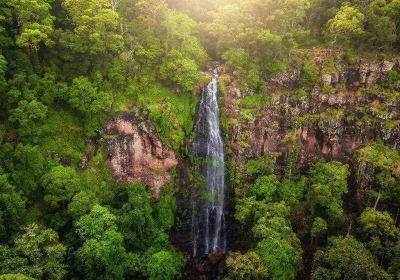 Отель Binna Burra Sky Lodges