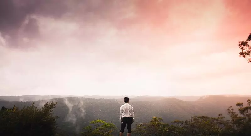 Отель Binna Burra Sky Lodges