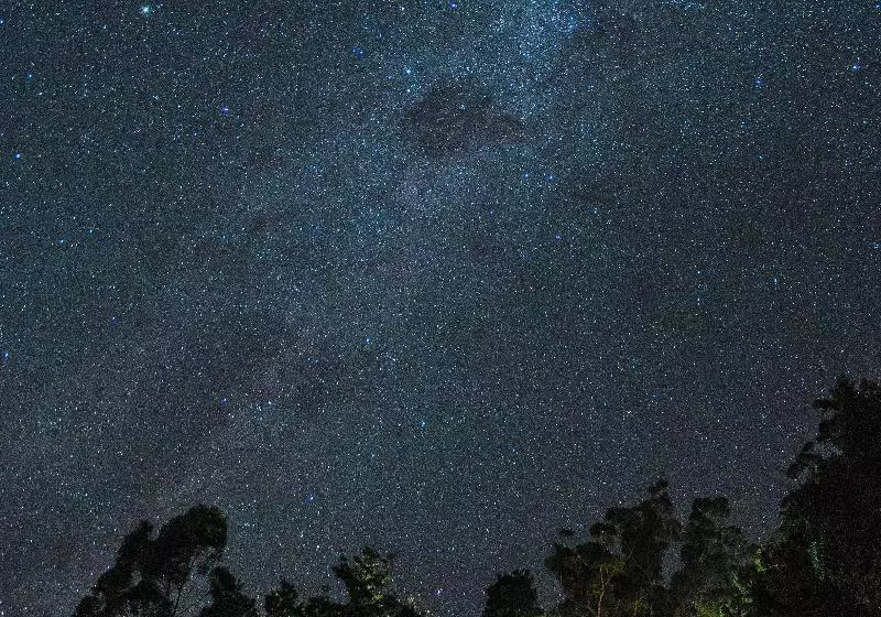 Отель Binna Burra Sky Lodges