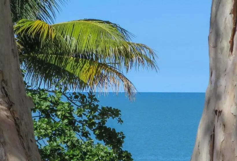 호텔 Marlin Waters Beachfront Apartments