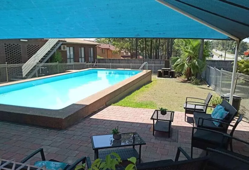 ホテル Molly Morgan Motor Inn