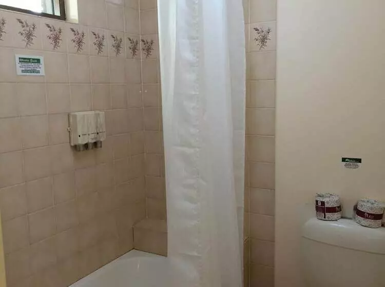 ホテル Molly Morgan Motor Inn