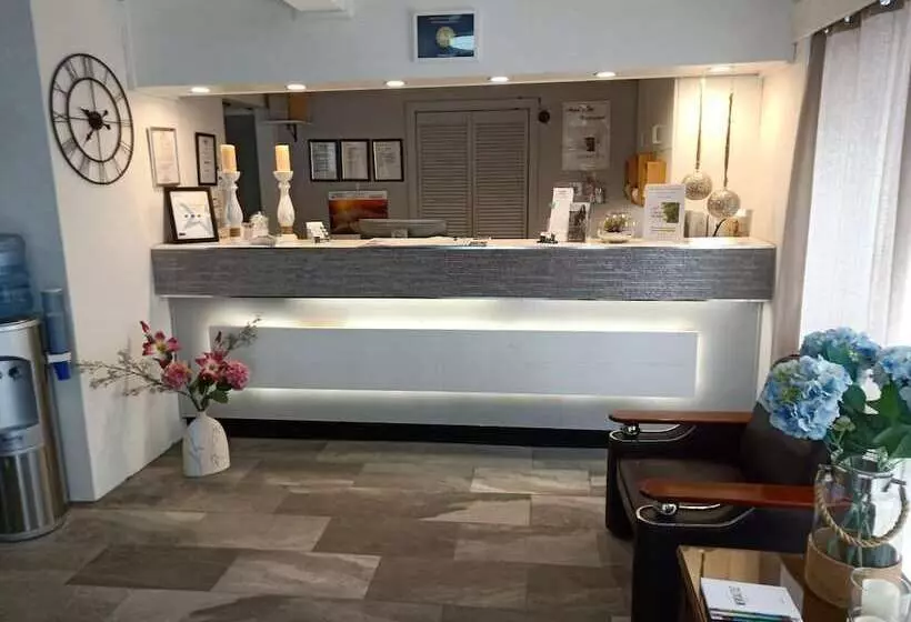 ホテル Molly Morgan Motor Inn