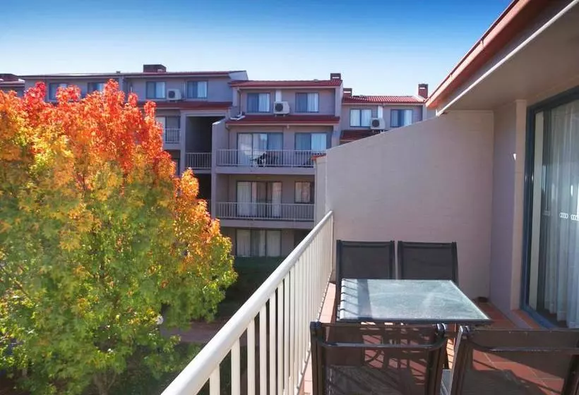 ホテル Pinnacle Apartments