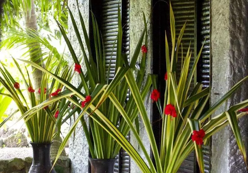 Abezza Resort And Adventure Spa