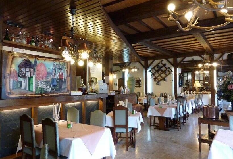 هتل Auberge D Alsace Hôtel De France