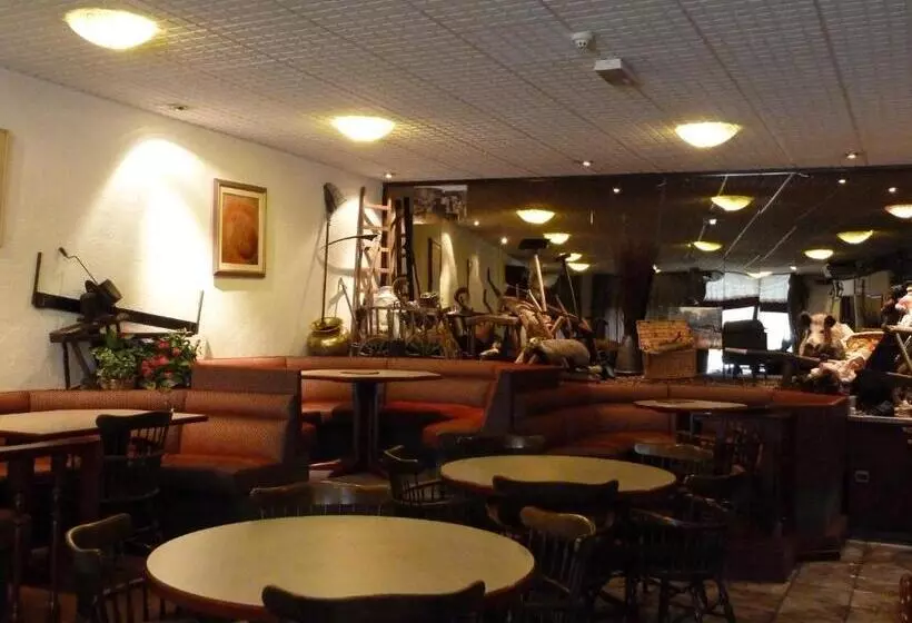 호텔 Auberge D Alsace Hôtel De France