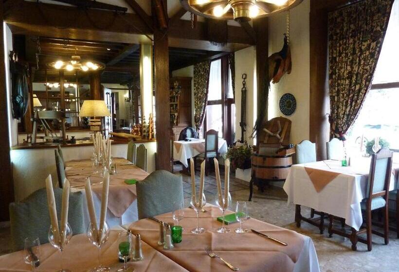 هتل Auberge D Alsace Hôtel De France