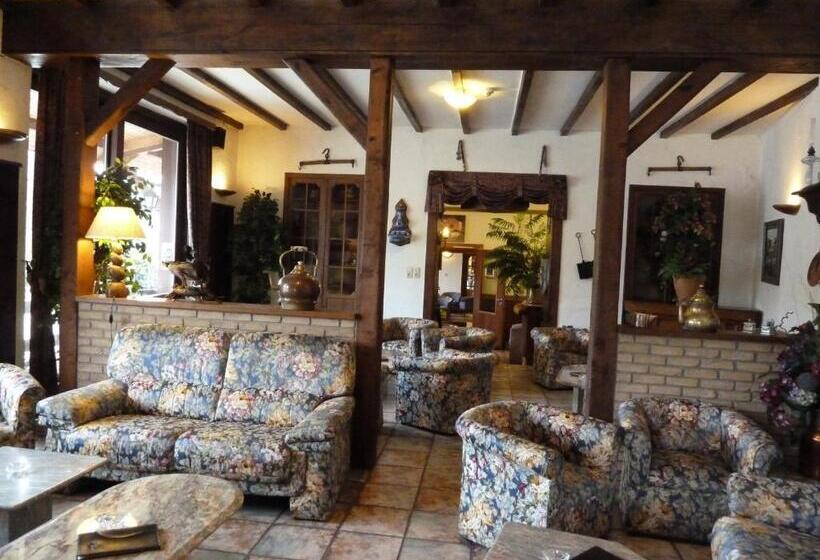 هتل Auberge D Alsace Hôtel De France