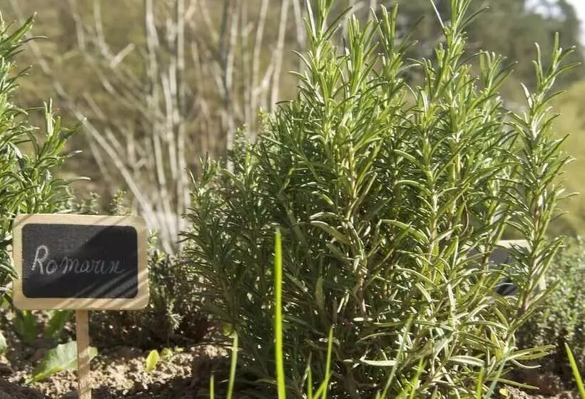 酒店 Logis Hostellerie De La Claire Fontaine